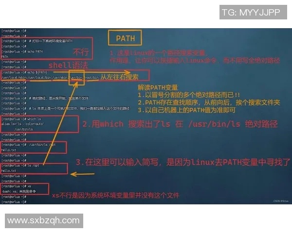 足球明星成长之路全景图解与成就展示