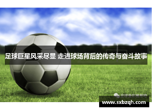 足球巨星风采尽显 走进球场背后的传奇与奋斗故事