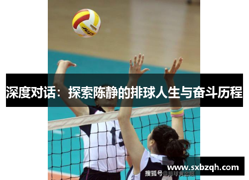 深度对话：探索陈静的排球人生与奋斗历程