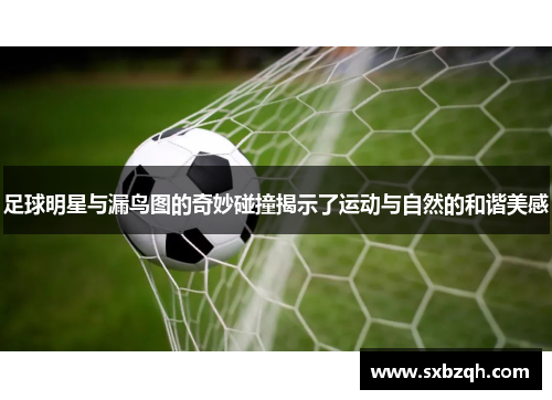 足球明星与漏鸟图的奇妙碰撞揭示了运动与自然的和谐美感