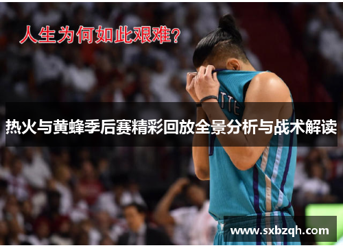 热火与黄蜂季后赛精彩回放全景分析与战术解读